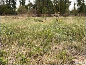 Terrain 2 235 m² Agris