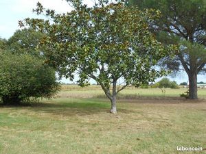 Maison 250m2 au calme