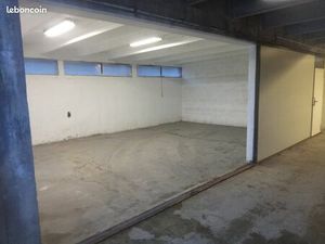 Local professionel  artisanale  entrepot