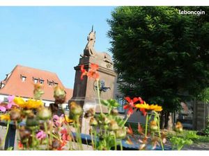 Murs commerciaux ou murs + fonds saverne centre ville