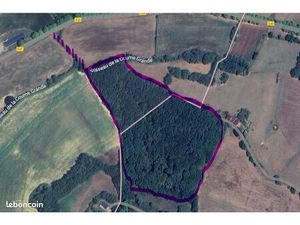 Bois / Forêt de feuillus de 5.3 hectares