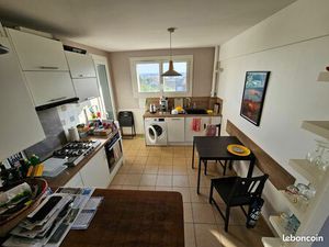 A vendre - appartement T3 meublé de 50 m² (+ cave  balcon et loggia)
