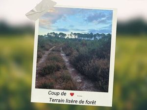 Terrain 720 m² Castets