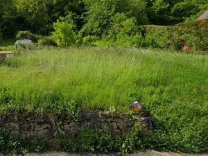 Terrain 1 600 m² Wintzenheim