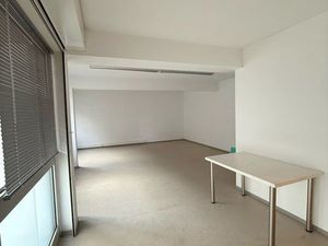 Local professionnel / garage fermé