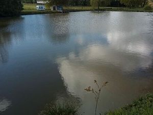 2 étangs sur grand terrain