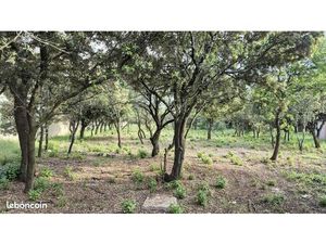 Terrain 700 m² Grillon