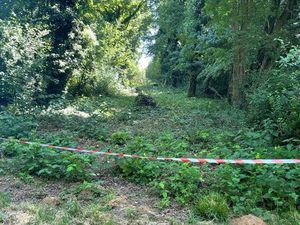 À vendre ou à louer Terrain