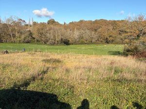 Terrain constructible