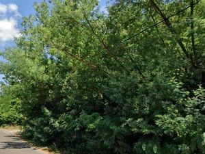 Terrain 1 715 m² Eysines