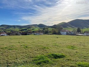 Terrain constructible