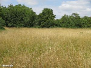 Terrain 2 018 m² Mansle