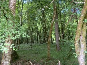 Recherche Location-vente 150 000