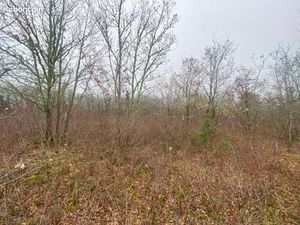 Terrain agricole 11 405 m² Bach