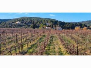 Terrain 20 000 m2 à proximité de Nébian...