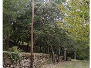 Vente terrain agricole