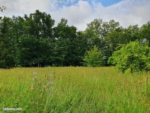 Terrain 1 157 m² Saint Michel De Montaigne