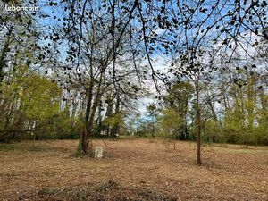 Terrain de 6 700 m² avec compteurs d’eau et d’électricité – Idéal pour loisirs ou projet n