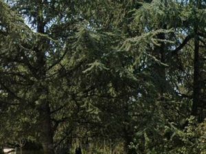 Terrain de 530 m² - Pernes les Fontaines