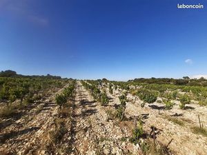 Terrain agricole Lirac 6000m2