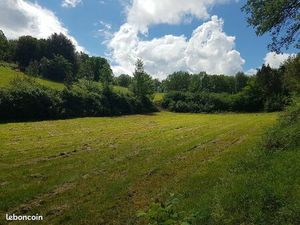Terrain de 22 hectares avec ruine en pierre