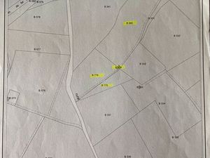 Vigne Syrah - Lieu dit St Vincent