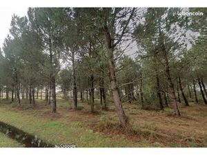 Terrain 560 m² Andernos Les Bains