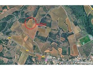 À vendre ou à prendre en fermage — Parcelle de vigne Grenache Blanc – AOC Saint-Chinian – 