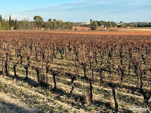 Terrain agricole pignan