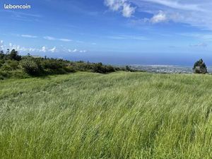 Terrain 1640 m² Le Tampon