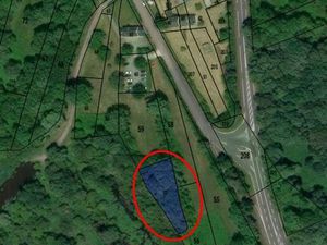 Terrain non constructible avec chênes adultes sur pieds