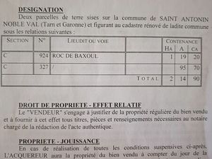 Terrain non constructible boisé