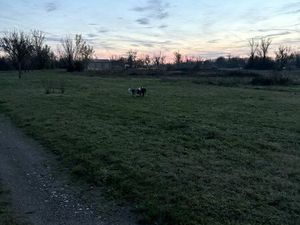 Cherche champs ou jardin location