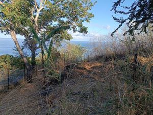 Loue Terrain Agricole