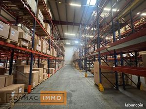 Local industriel 5 000 m²