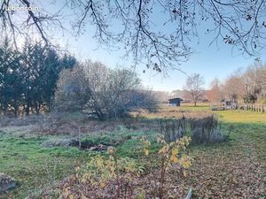 Magnifique terrain constructible d'un hectare