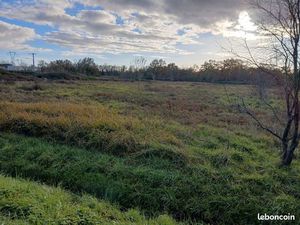 Terrain champ à louer