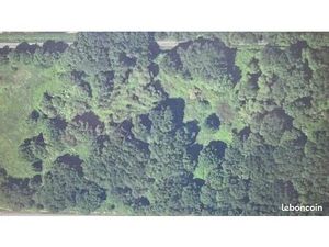 Terrain 19510 m² Saint-Mars-la-Jaille