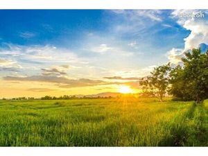 Terrain 423 m² Saint Malo