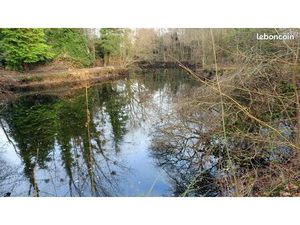 À VENDRE – Étang avec cabane sur terrain de loisir de 4 000 m² – La Roche-sur-Yon