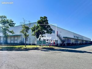 Local industriel 6 933 m²