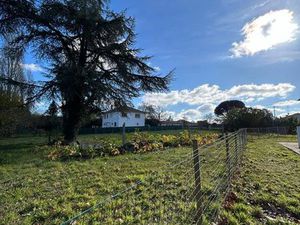 Terrain Montauban 1320 m2 (divisible en 2)