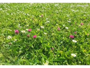 Terrain 354 m² La Plaine Sur Mer