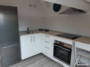 Grand T1 bis en duplex