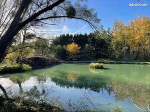 Étang superbe