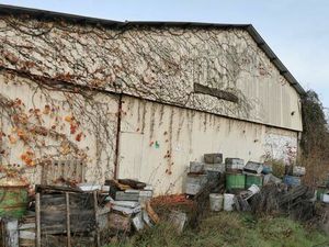 Terrain + bâtiments