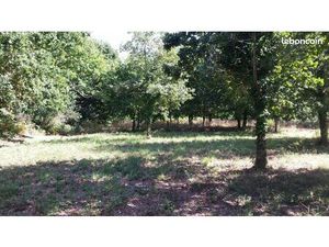 La Turballe : terrain constructible dans un environnement calme et arboré