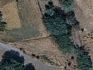 Terrain constructible 247m2