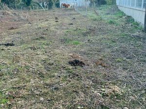 Terrain de 1263 mètres carrés à l’Arsenal