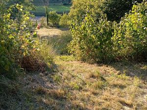Terrain non constructible pour faire jardin  ou autres a sont idéal  au calme  nature  877